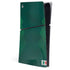 Mexico Soccer Flag PlayStation PS5 Skins